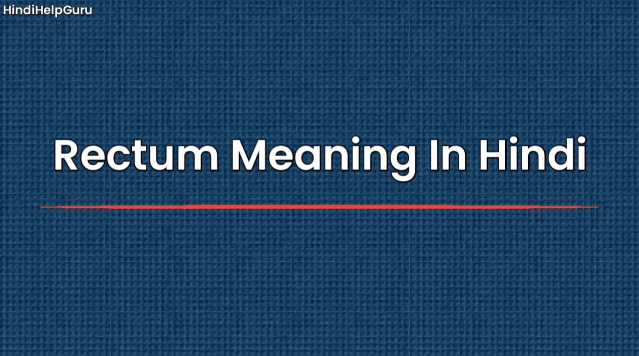 Rectum Meaning In Hindi