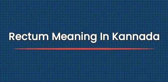 Rectum Meaning In Kannada | ಗುದನಾಳದ ಅರ್ಥ