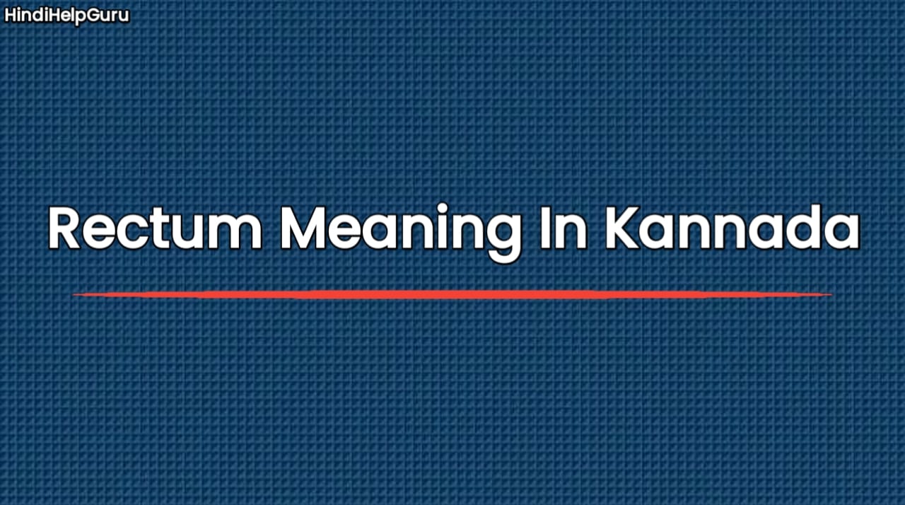 Rectum Meaning In Kannada