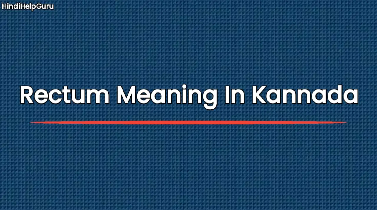 Rectum Meaning In Kannada