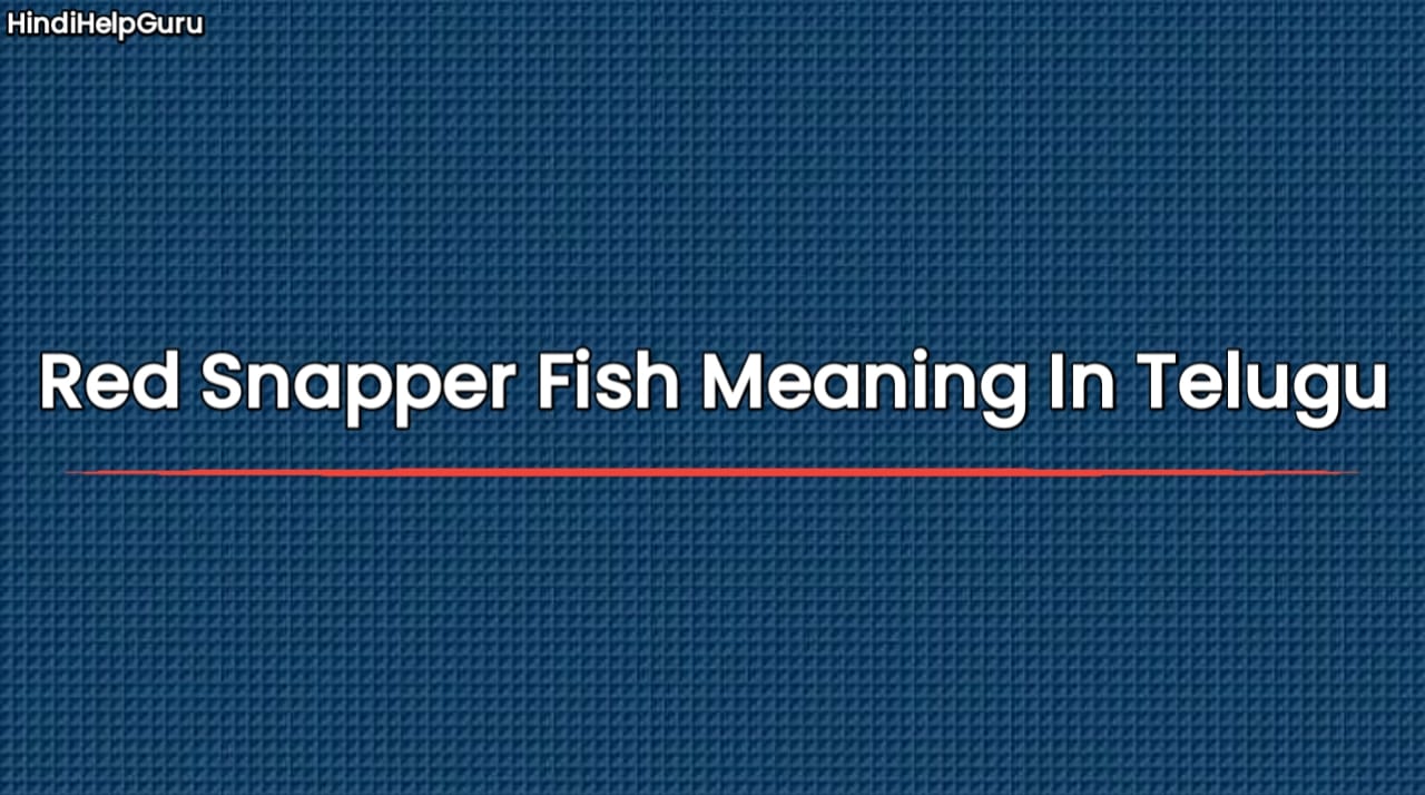 Red Snapper Fish Meaning In Telugu