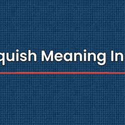 Relinquish Meaning In Hindi