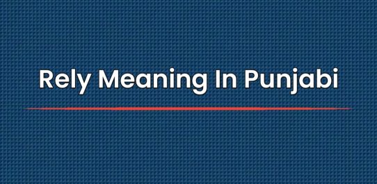 Rely Meaning In Punjabi | ਪੰਜਾਬੀ ਵਿੱਚ ਅਰਥ