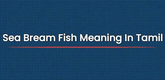 Sea Bream Fish Meaning In Tamil