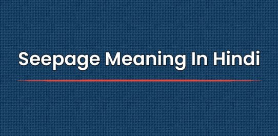 Seepage Meaning In Hindi | सीपेज मीनिंग इन हिंदी
