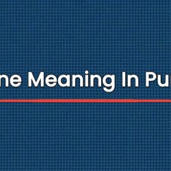 Serene Meaning In Punjabi