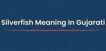 Silverfish Meaning In Gujarati | સિલ્વરફિશનો ગુજરાતીમાં અર્થ