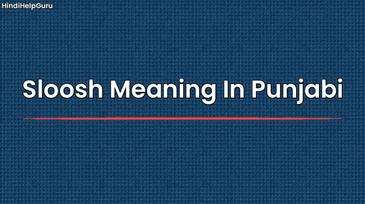 Sloosh Meaning In Punjabi