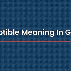 Susceptible Meaning In Gujarati