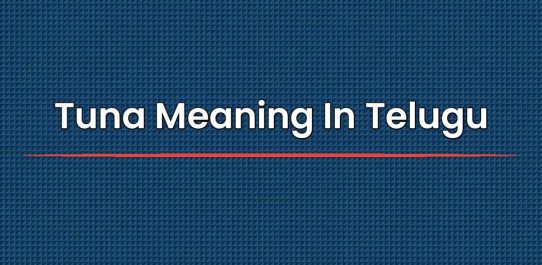 Tuna Meaning In Telugu | తెలుగులో ట్యూనా అర్థం