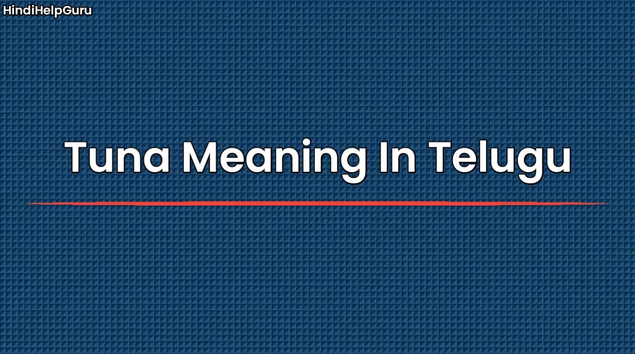 Tuna Meaning In Telugu
