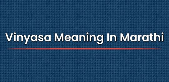Vinyasa Meaning In Marathi | विन्यासचा मराठीत अर्थ