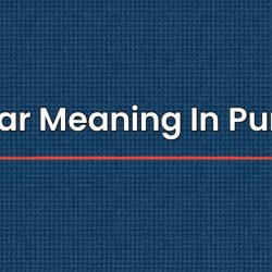 Vulgar Meaning In Punjabi
