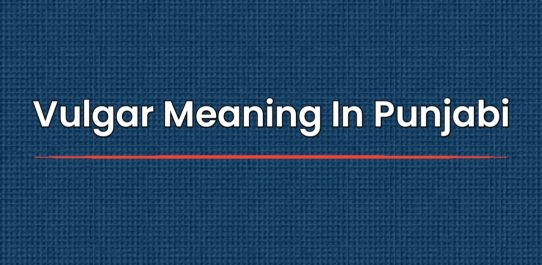 Vulgar Meaning In Punjabi