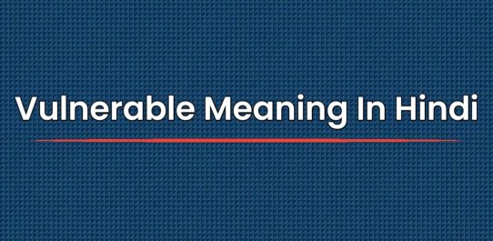 Vulnerable Meaning In Hindi | Vulnerable का हिंदी में मतलब