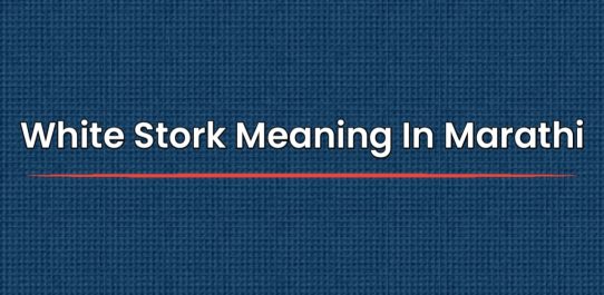 White Stork Meaning In Marathi | व्हाईट स्टॉर्क अर्थ