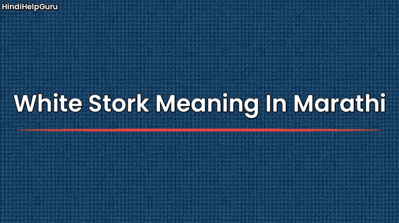 White Stork Meaning In Marathi