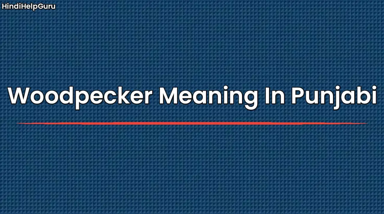 Woodpecker Meaning In Punjabi