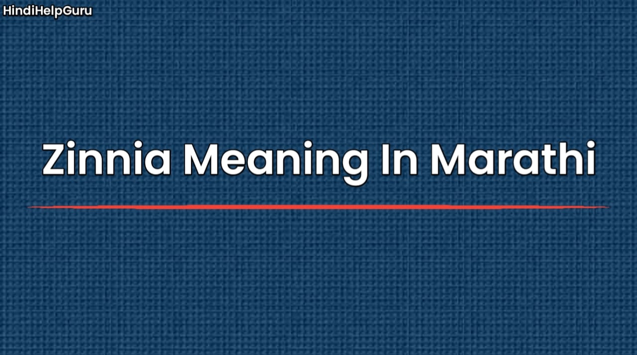 Zinnia Meaning In Marathi