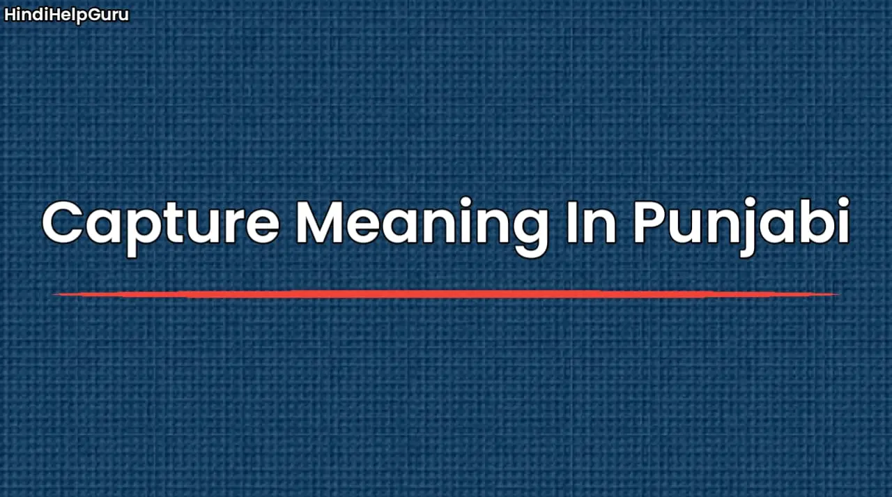 Capture Meaning In Punjabi