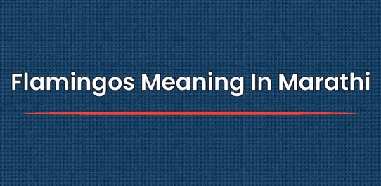 Flamingos Meaning In Marathi | फ्लेमिंगोस मराठीत अर्थ