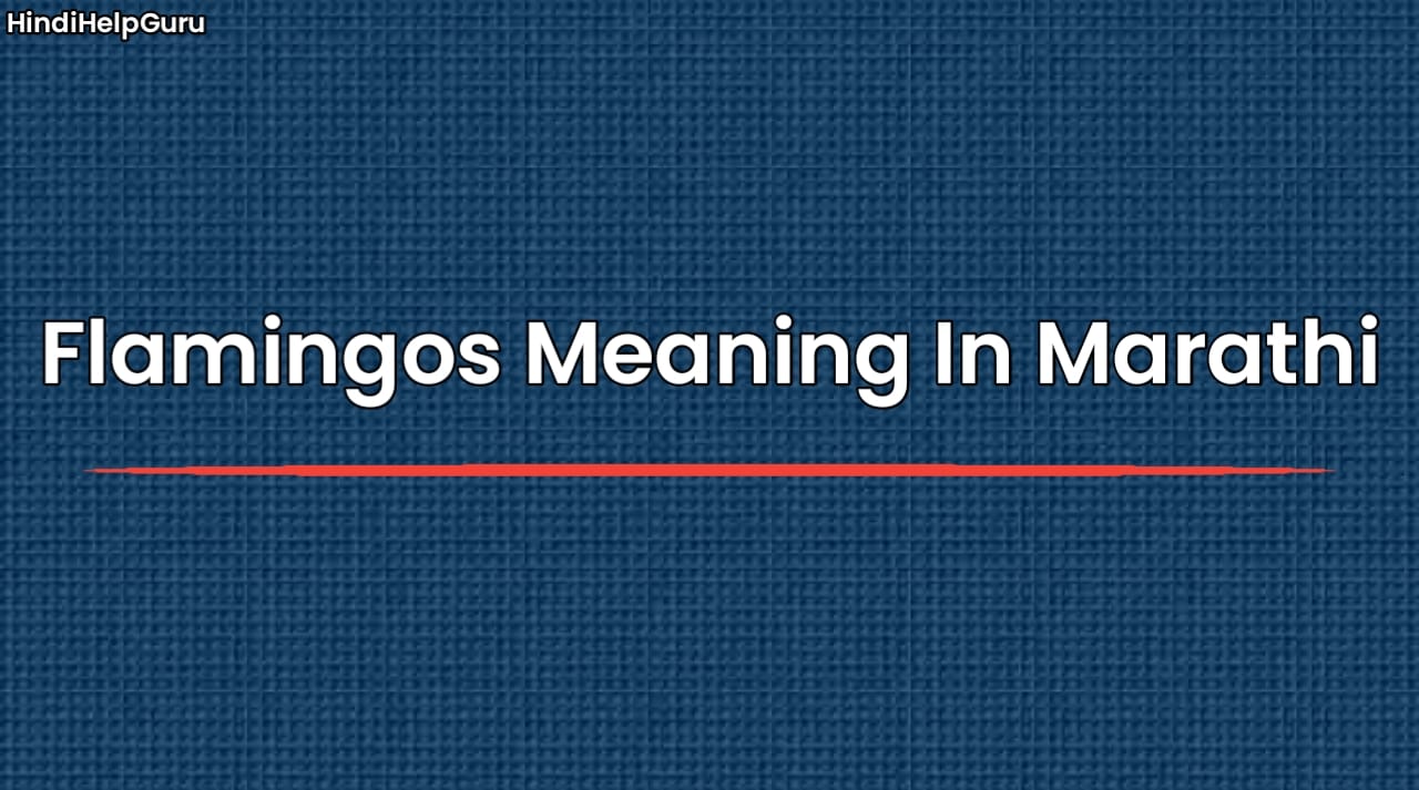 Flamingos Meaning In Marathi