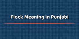 Flock Meaning In Punjabi