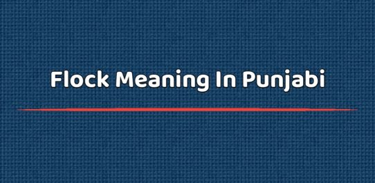 Flock Meaning In Punjabi