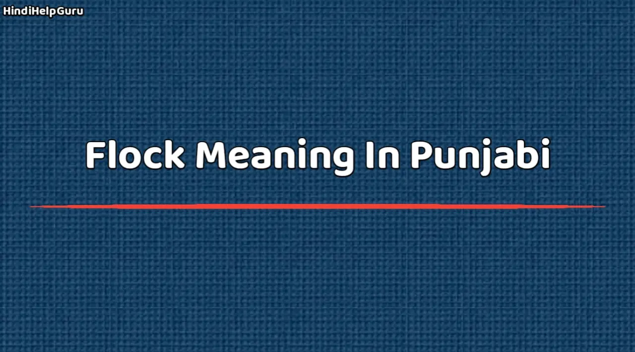 Flock Meaning In Punjabi