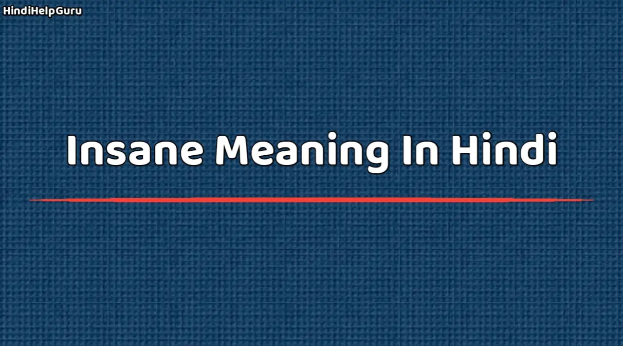 Insane Meaning In Hindi