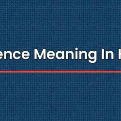 Patience Meaning In Hindi