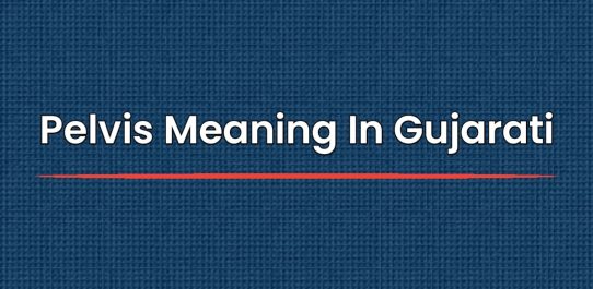 Pelvis Meaning In Gujarati | પેલ્વિસનો ગુજરાતીમાં અર્થ