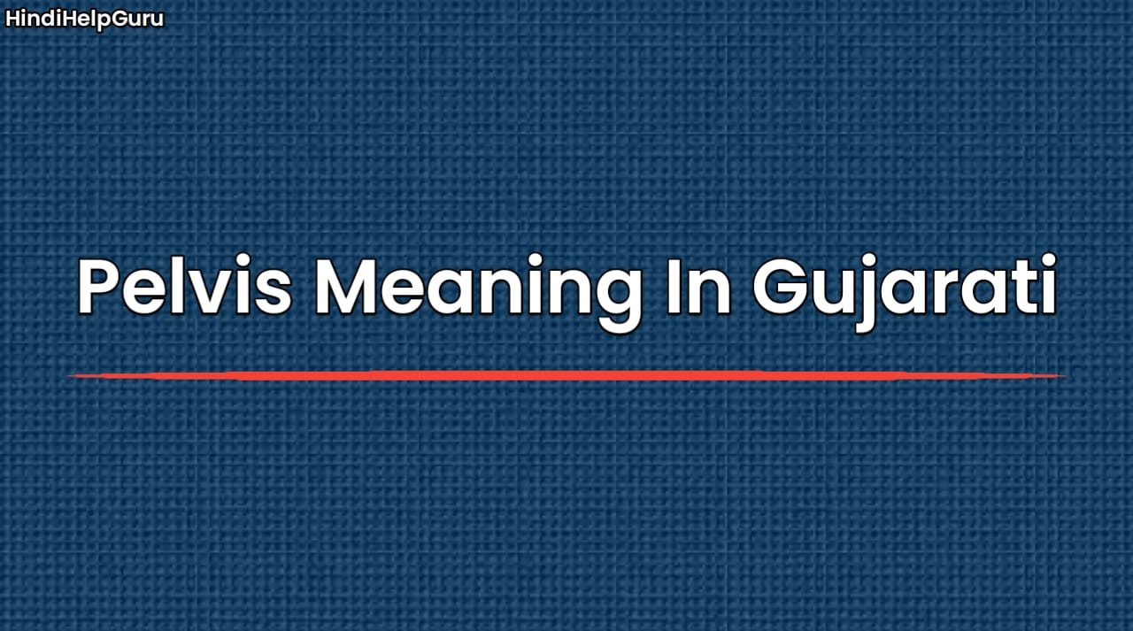 Pelvis Meaning In Gujarati