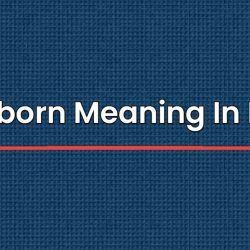 Stubborn Meaning In Hindi