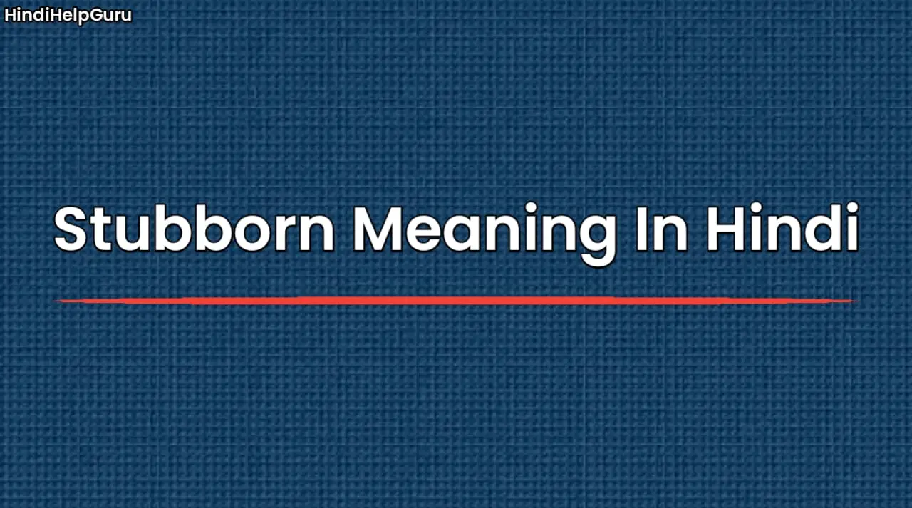 Stubborn Meaning In Hindi