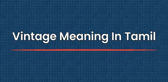 Vintage Meaning In Tamil | தமிழில் அர்த்தம்