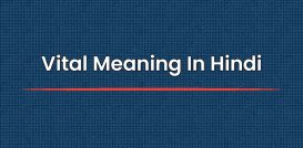 Vital Meaning In Hindi | वाइटल मीनिंग इन हिंदी